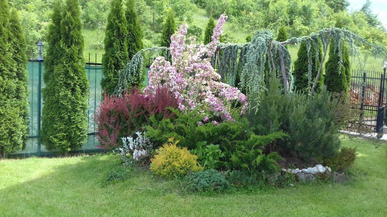 Villa Marta Ohrid Eksteriør bilde